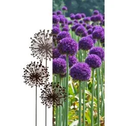 Allium Ø 30 Cm - Decoroest