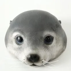 Zeehond Zwemmend Als Vijverdeco