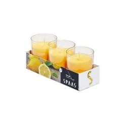 Spaas Tuinkaars In Kunststof Potje - Lemon Breeze - Set Van 3 Stuks