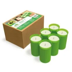 Bio Green Ecologische Kaarsen Van Biomassa - Set Van 6 Stuks