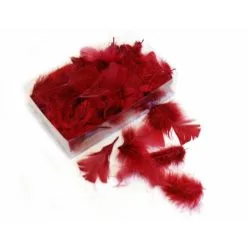 Decoratieve Pluimen - Bordeau