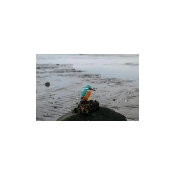 DecoBird - WILDLIFE Garden Houten Vogel - Ijsvogel - Afbeelding 3