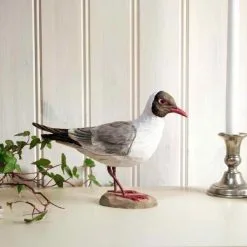 Houten Vogel - Kokmeeuw