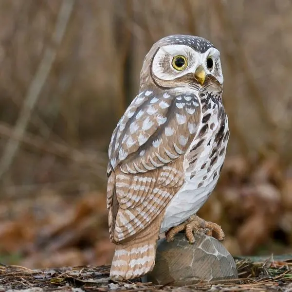 DecoBird - WILDLIFE Garden Steenuil In Lindenhout - Handgemaakt - Afbeelding 2