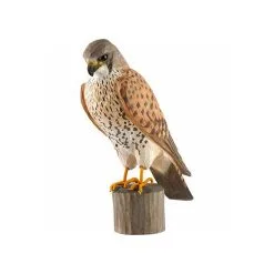 DecoBird - WILDLIFE Garden Houten Vogel - Torenvalk