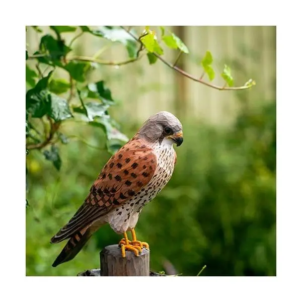 DecoBird - WILDLIFE Garden Houten Vogel - Torenvalk - Afbeelding 2