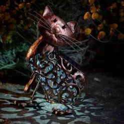 Kat Met Wiebelkop En Solarverlichting