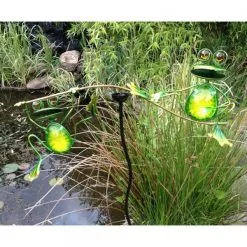 Schommelend Kikkerduo Op Pin