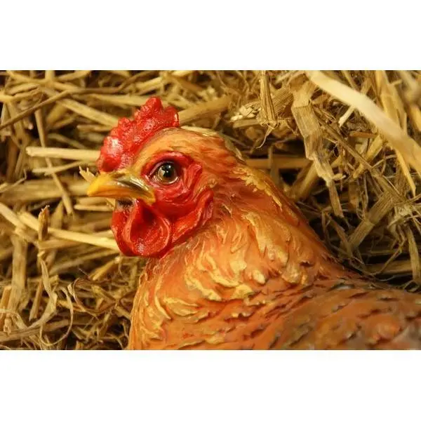 Zittende Kip BRUIN - Levensecht - Afbeelding 2