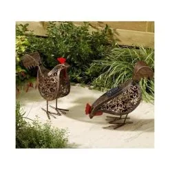 Koppeltje Kippen Met Verlichting Op Zonne-energie