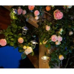 Lantaarnslinger Valparaiso - 4 M Solar