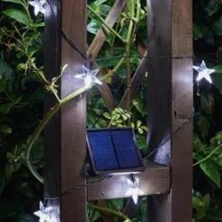 Ledslinger - 50 Witte Sterren