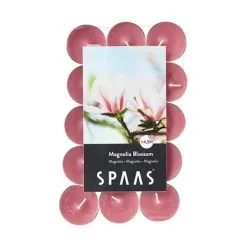 Spaas Theelicht Magnolia - 4,5 Uren - Set Van 30 Stuks