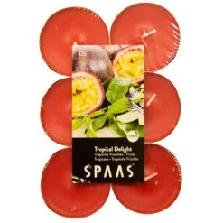 Spaas Theelicht Maxi Tropische Vruchten - 10 Uren - Set Van 12 Stuks