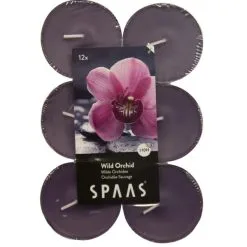 Spaas Theelicht Maxi Wilde Orchidee - 10 Uren - Set Van 12 Stuks