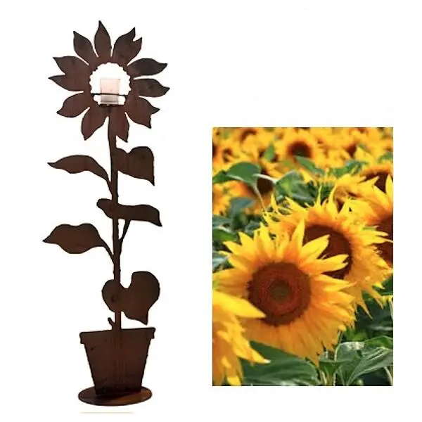 Zonnebloem In Pot - Decoroest